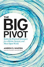 big_Pivot_bookcover_150