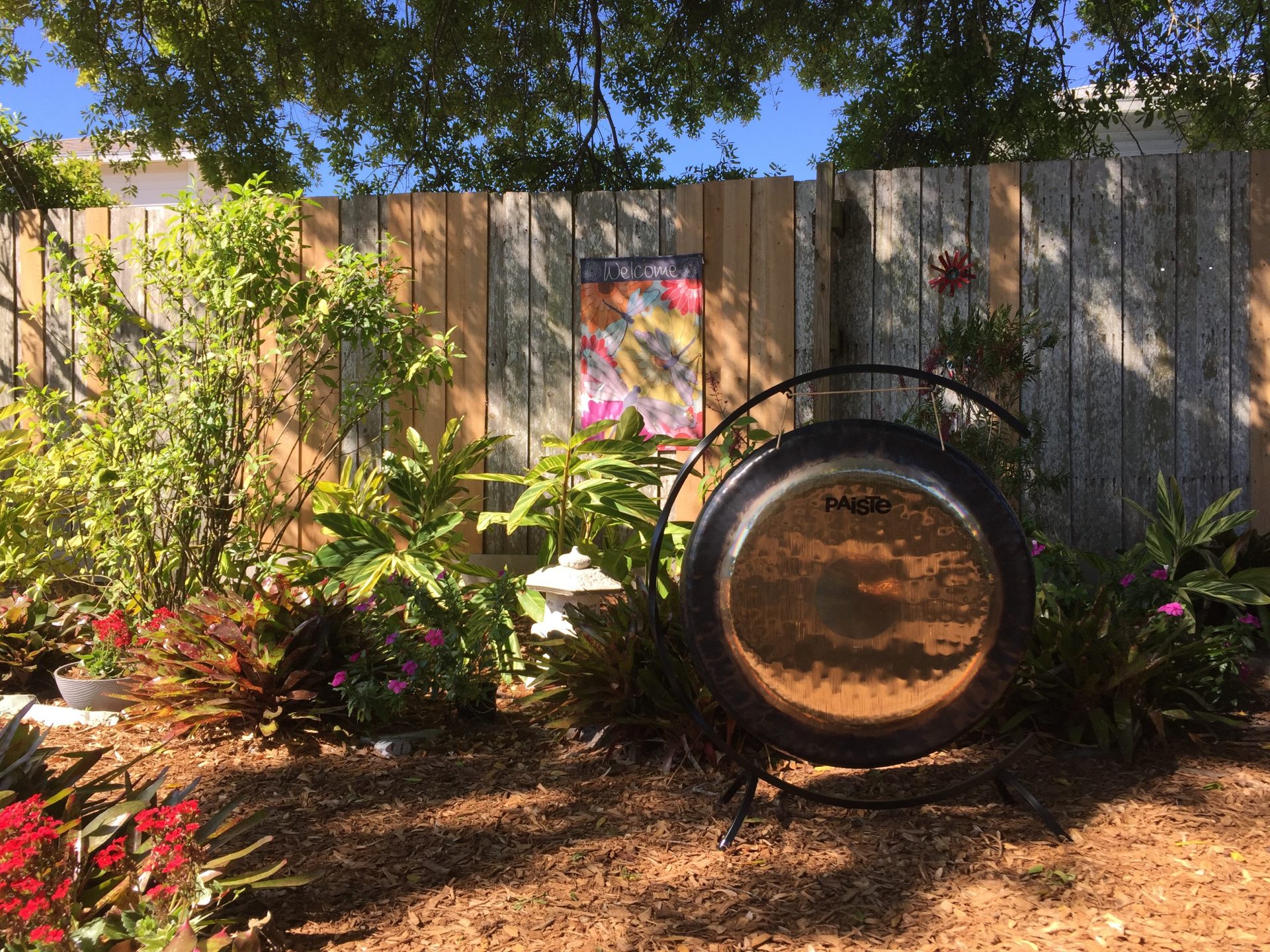 gonginthegarden image backyard