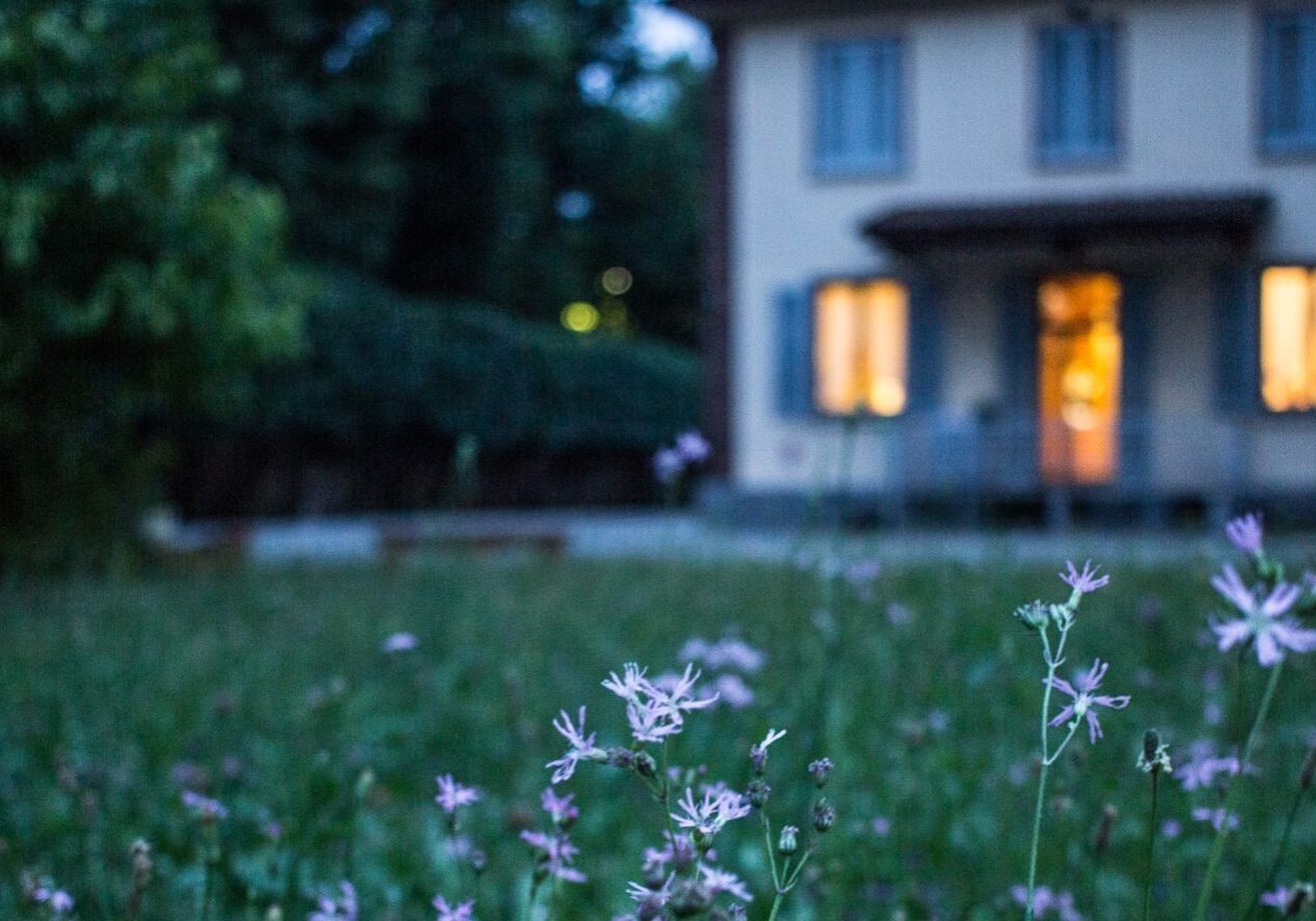 valentina-locatelli-P8bsrm8KbM0-unsplash valentina-locatelli-P8bsrm8KbM0-unsplash